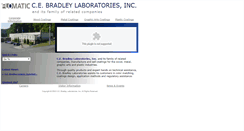 Desktop Screenshot of cebradley.com